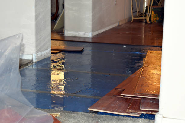 Professional Flood Damage Restoration technician working in Van, TX
